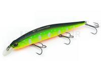 DUO Leurre Realis Jerkbait 120SP