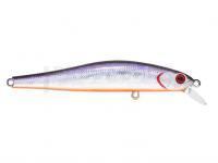 Leurre Zipbaits Rigge 90 SP - 104M