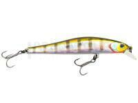 Leurre Zipbaits Rigge 90 SP - 509M