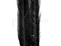 Ringneck Tail Feathers - 100 Black