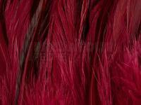 Rooster Saddle Feather - Claret