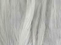 Rooster Saddle Feather - Grey