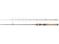 Canne Casting Dragon Flash XC40P LT Cast 21 Fast 1.98m 5-21g