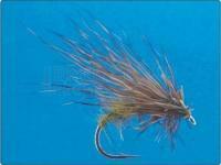 Scallywag Murrough no.14