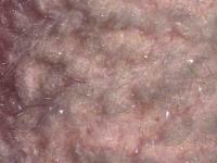 Semperfli EggStatic Egg Fritz 8mm - Powder Pink