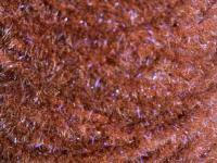 Semperfli EggStatic Egg Fritz 8mm - Rootbeer