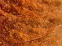 Semperfli EggStatic Egg Fritz 8mm - Tangerine