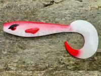 Shimano, Favorite, Great Fish