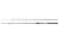 Canne Shimano Salty Advance Sea Bass Spinning 2.90m 8-45g