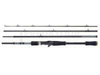 Canne Shimano STC Casting Fast 2.29m 7'6" 56-140g 4pc