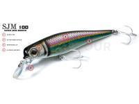 Molix Leurres Durs SJM 100 Super Jerk Minnow