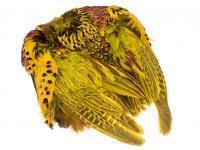 Wapsi Plumes Pheasant Skin