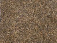 Dubbing Wapsi SLF Squirrel 11 - Fox Natural