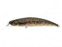 Leurre Duo Spearhead Ryuki 80S - CCC3815 Brown Trout