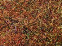 Dubbing Spirit River UV2 Diamond Brite - Rootbeer