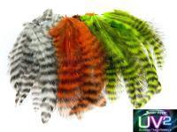 Spirit River Plumes UV2 Grizzly Soft Hackles