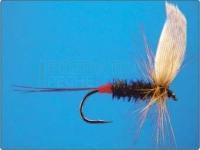 Wizard Andrzej Zasadzki Dry flies (barded)