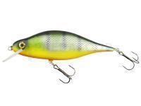 Leurre Dorado Tempter 14cm - PM