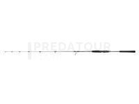 Canne Penn Regiment IV Jigging Spinning 1.58m 200-400g