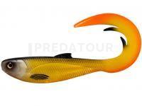 Leurre Headbanger FireTail v2 21 cm 86 g - Dirty Roach