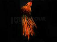 UV2 Coq De Leon Perdigon Fire Tail Feathers - #137 Fl Orange