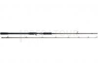 Canne W4 Powercast-T 2nd 8'6" 255 CM XXH 40-130 G