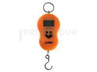 Electronic fishing scale 50kg WAM014