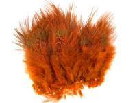 Wapsi Plumes Ringneck Rump Hackle