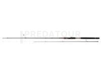 Canne Penn Conflict Tenya Spin 2sec | 2.50m | Fast | 56g