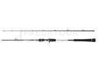 Penn Prevail III Jigging Cast