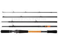 Canne Shimano STC AX Casting 2.40m 50-100g