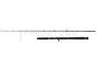Savage Gear Defiance SG2 Jigging Cast