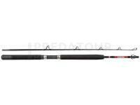Canne Penn Warfare Boat 1.80m M 50lb 2Sec Conv