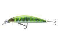 Leurre Daiwa Tournament Current Master 93F-SR | 9.3cm 12g - chart back zebra