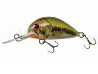 Leurre Dorado Alaska A-3,5 Floating BS