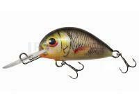 Leurre Dorado Alaska A-3,5 Floating S