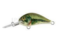 Leurre Dorado Blagier 3,5S BS