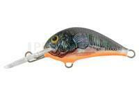 Leurre Dorado Blagier 3,5S CK
