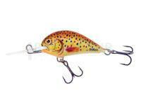 Leurre Dorado Blagier 3,5S TRS