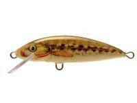 Leurre Dorado Classic C-5 Floating NB