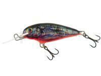 Dorado Invader I-5 Floating HB