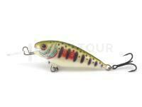 Dorado Invader I-5 Sinking DGR