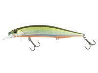 Leurre DUO Duo Realis Jerkbait 120SP (MC) - ANA3714 Tennessee Shad (MC)