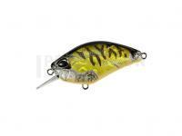 Leurre DUO Realis Crank Kabuki 55 SR | 55mm 9.7g | 2-1/8in 3/8oz -  CDX3933 Champagne Tiger