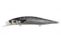 Leurre DUO Realis Jerkbait SP SW Limited 12cm - DST0804 Mullet ND