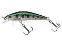 Leurre dur Gunki Gamera 50 HW - HL Rainbow Trout