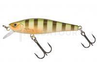 Leurre dur Gunki Gamera 65 SP Twitch - Wild Perch