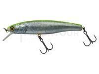 Leurre Illex Arnaud 100 F | 10cm 16g - RT Visible Roach