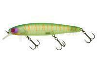 Leurre Illex Arnaud 110 F | 11cm 18g - Lime Chart Tiger