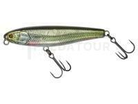 Leurre Illex Bonnie 65mm 4.3g - RT Roach